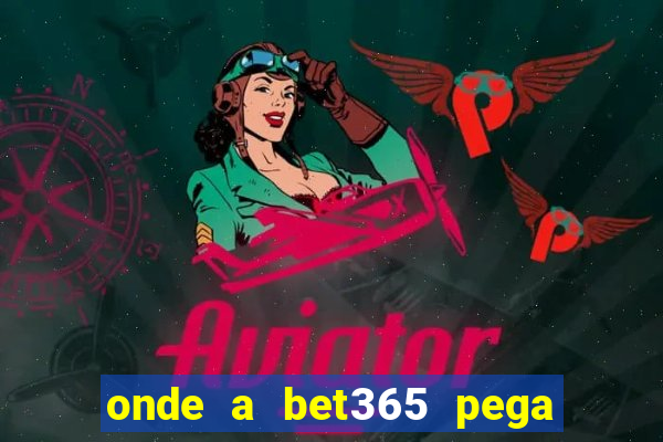 onde a bet365 pega as estatisticas